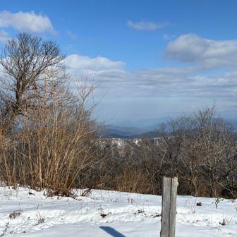 写真じゃ分かりづらいですが日本海が見える