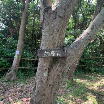 ③大峰山、146m
展望良し。10名以上の団体さんが休憩中でした。ベンチもいっぱいあります。