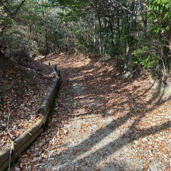 登山靴履いた意味あったか？と自問自答しながら
