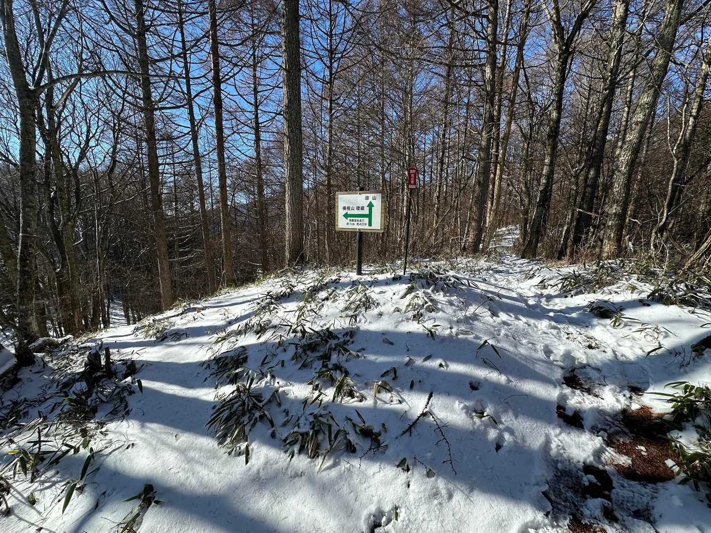 横根山稜線と傘山への分岐。
自分は傘山を目指します。