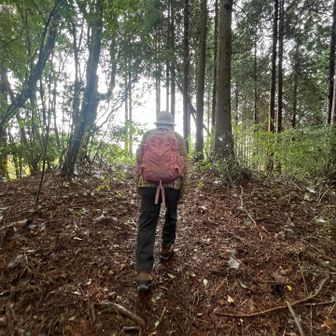 
　のぼられるの

　とっても早いです🚶‍♂️‍➡️

　今度会った時、師匠とお呼びしようかな🤭