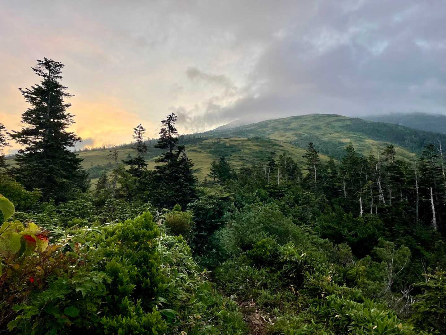 寺地山-北ノ俣岳 往復コースの写真