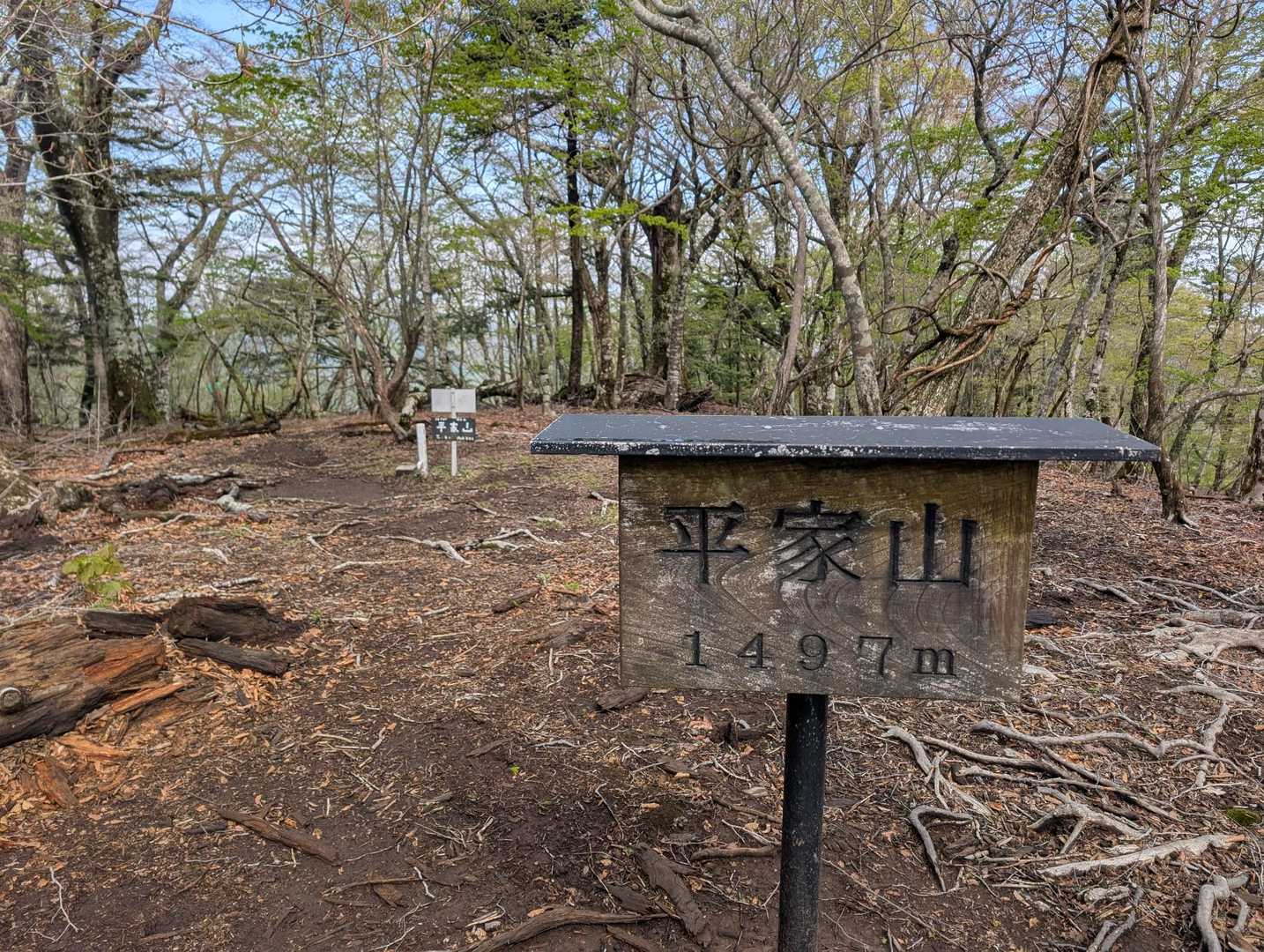 平家山 1497m♪