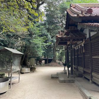 ３日に備えて掃除が行き届いていました