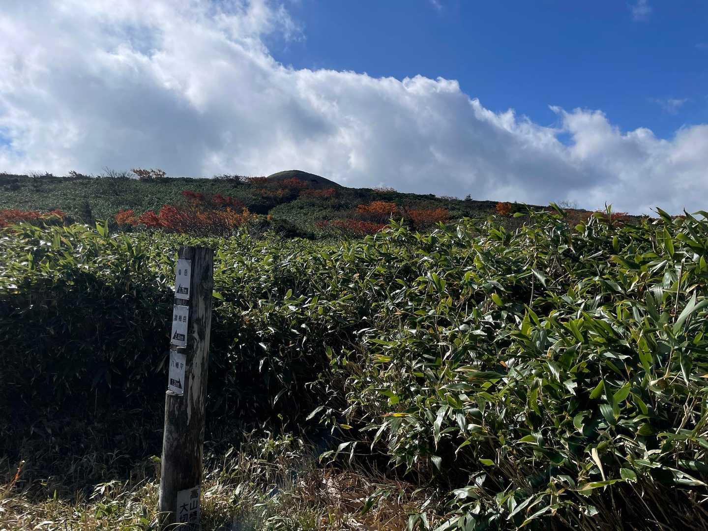裏岩手連峰登山口-畚岳 往復コースの写真