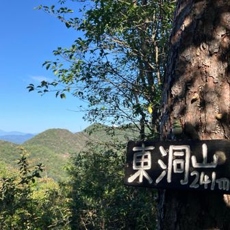 山頂から👀
