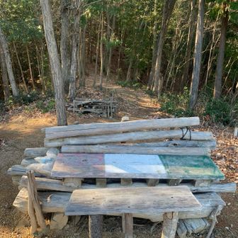 ベンチも有ります