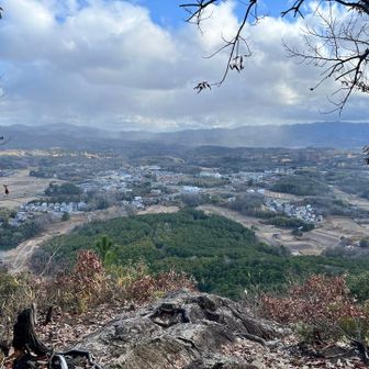 雪が降っている🌨️