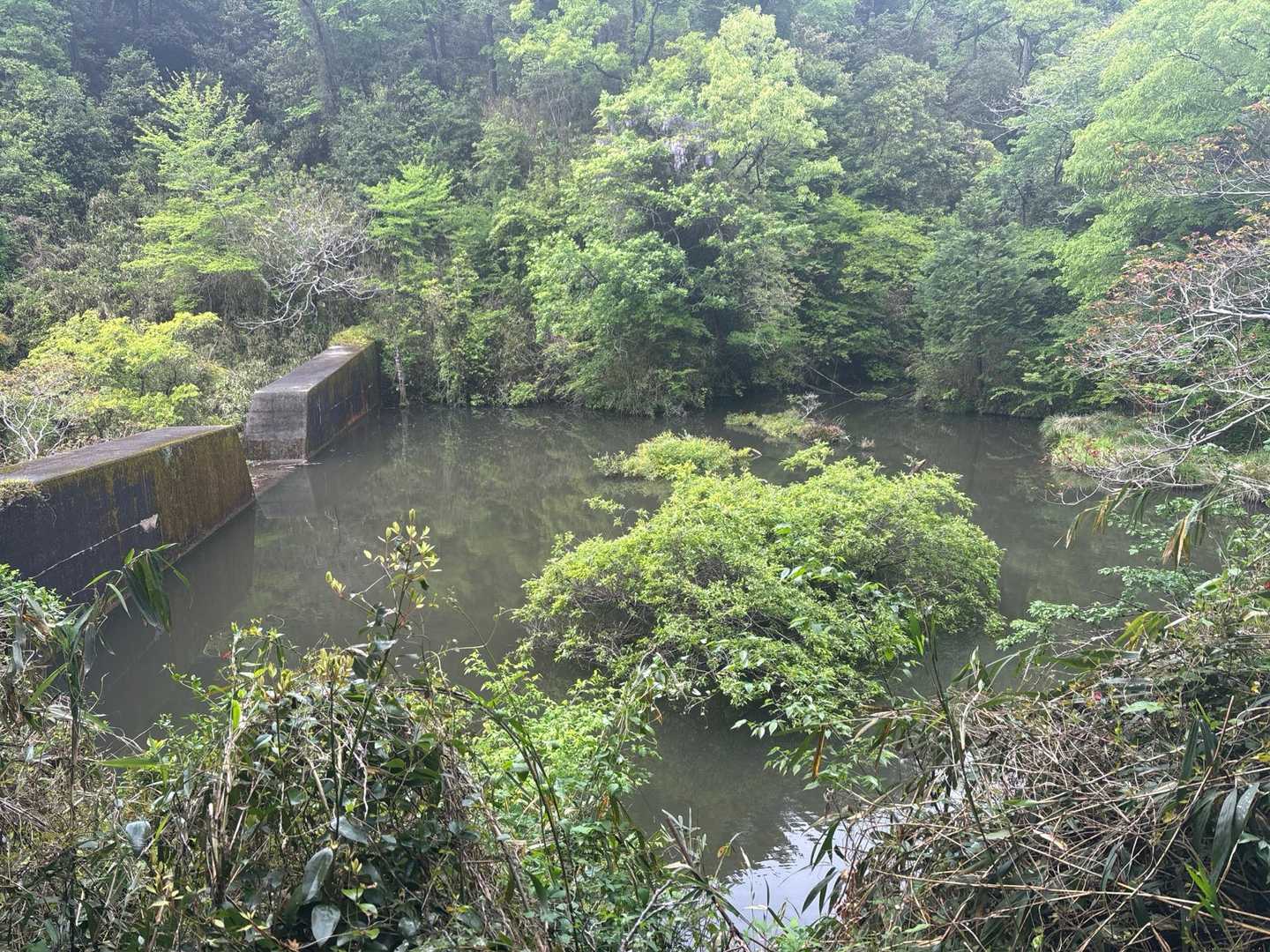 ダムの水は満タン