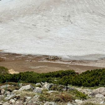 野営場の雪溶けはこんな感じ