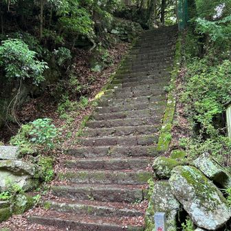 結構キツイ斜度
すぐ息切れ　なかなか苦しい