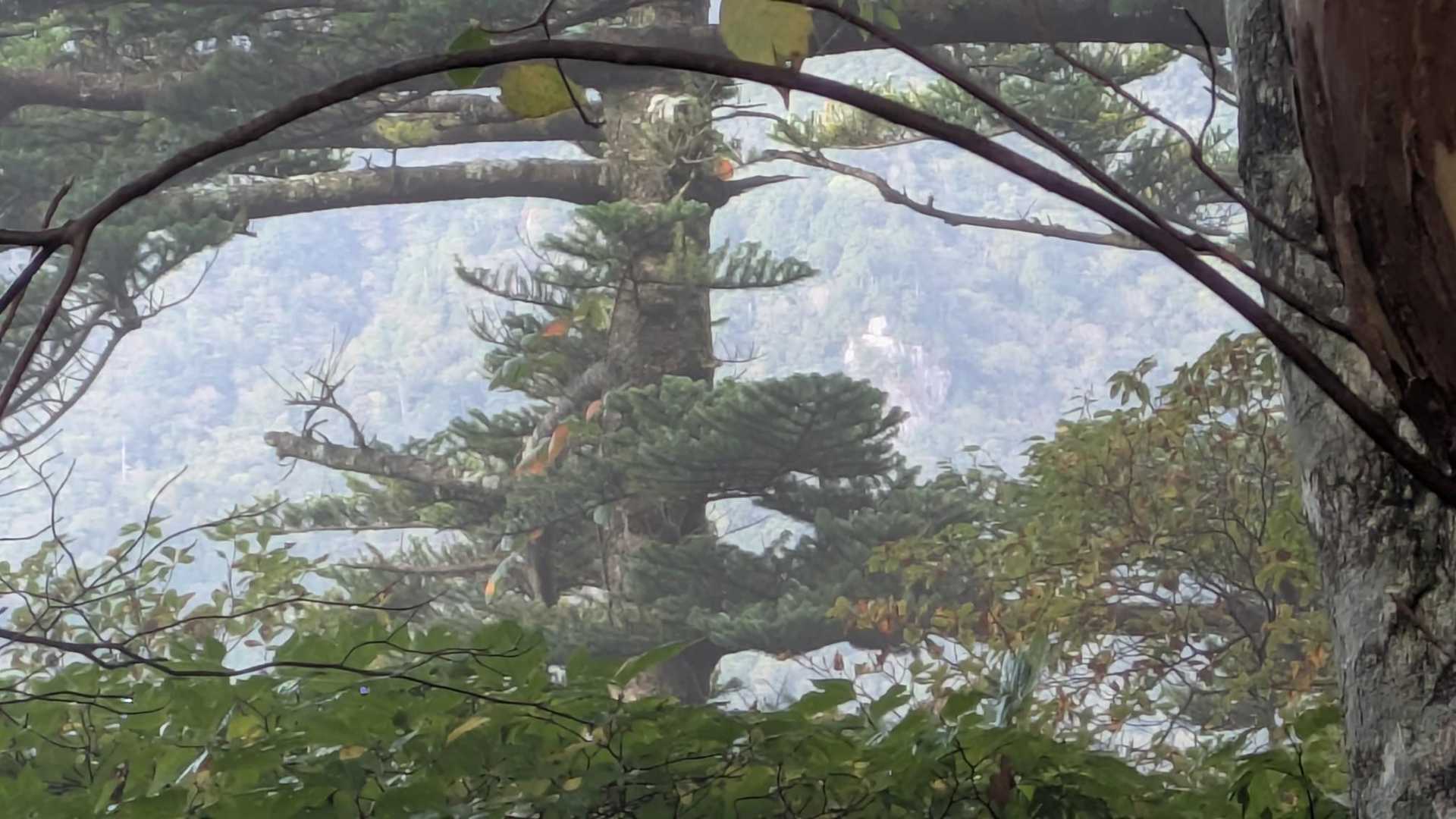 あれは天柱石かと思いましたが方角が全く違ってて