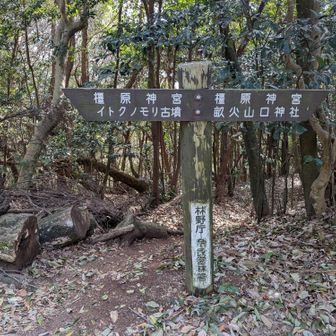 周回して下る。また今度来ることにします。