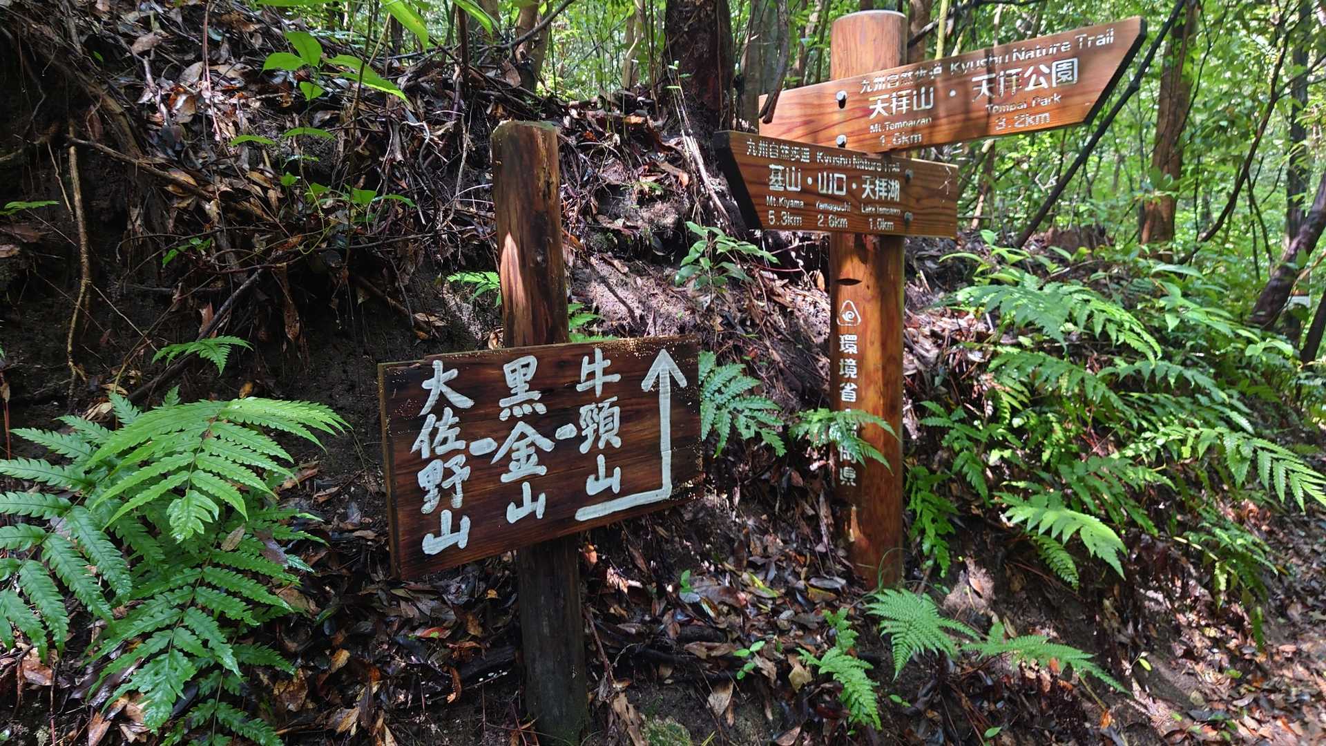今日は大佐野山へ行きます☝️