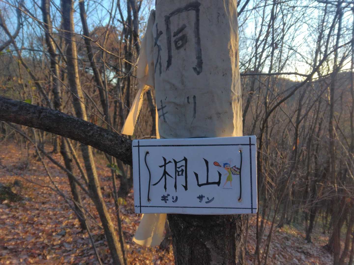 桐山🗻✨