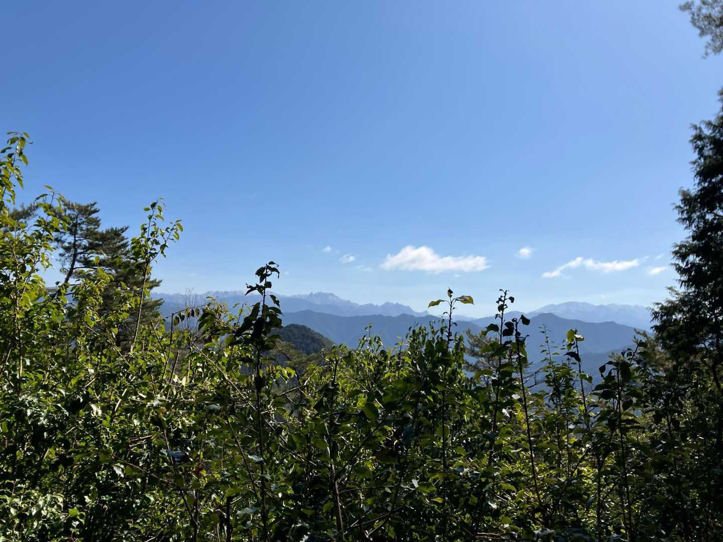 柚野山頂上より。冠雪の大峰山脈、右が弥山、左が山上ヶ岳かなぁ