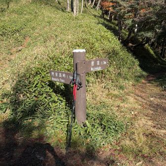 登り返しがきつい