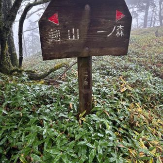 ニノ森