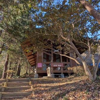 オオムラサキと林の展示館