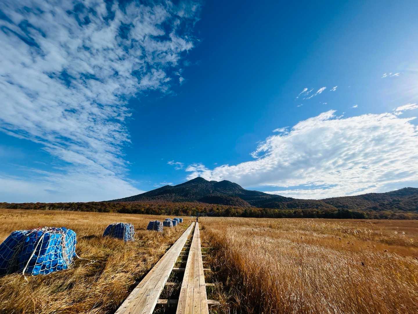 鳩待峠バス停発着｜尾瀬ヶ原周回コースの写真
