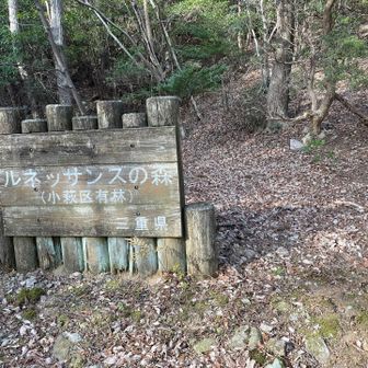 「ルネッサンス」って昔の姿を復興するって意味とは違うのだろうか。考えさせられます