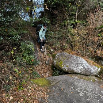 七山方面も眺めておかないと👀もう一つの展望岩に降りる🥾
よもぎもち曰く降り難くなってるそう🫤