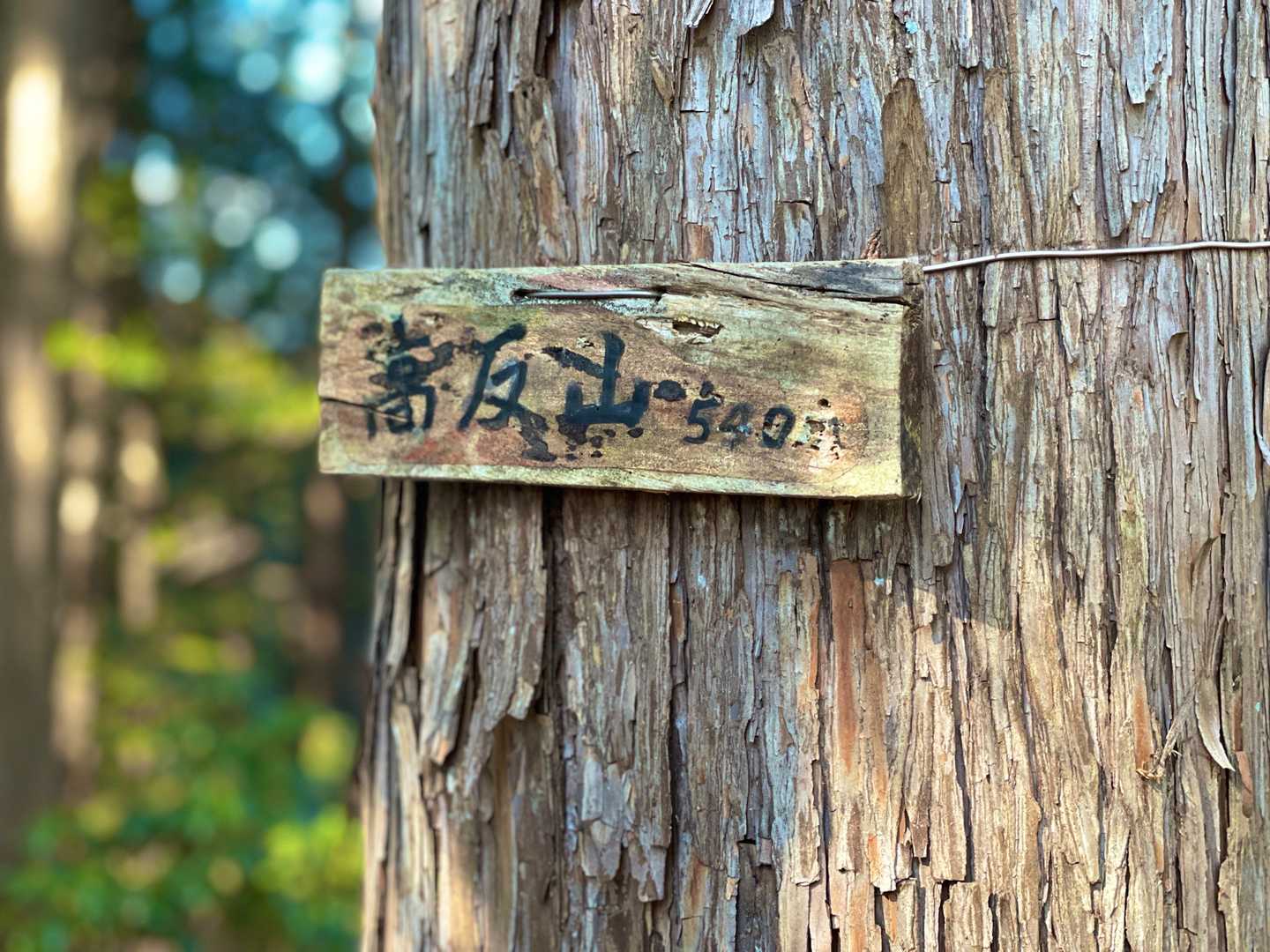 非山認定の高反山もハントします⛰