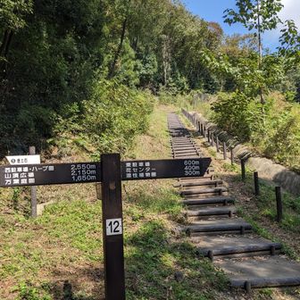 久しぶりに秋晴れ
気持ちの良い尾根道でした
