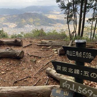 向山
見晴らし良い🙆