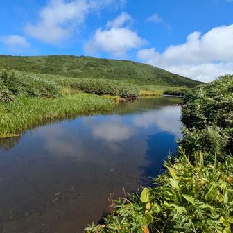 この凪いでいる水面が美しい