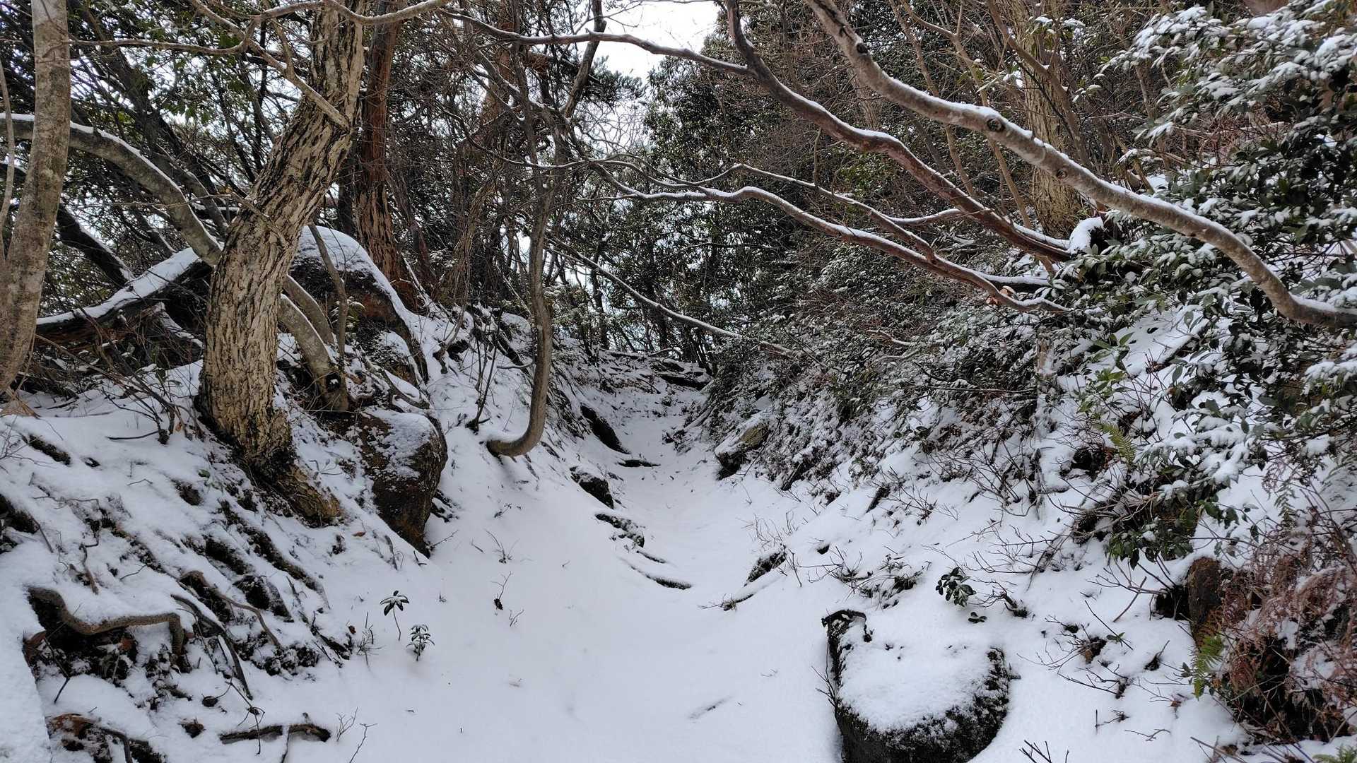 サラサラ。