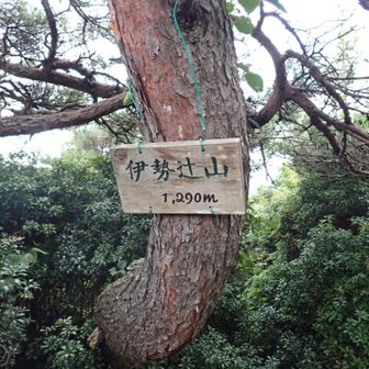 今日は伊勢辻山まで