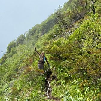 まさかの景色が見れて みんなルンルンで下山します

ヒヒンちゃんだけで終わらなくて良かった…