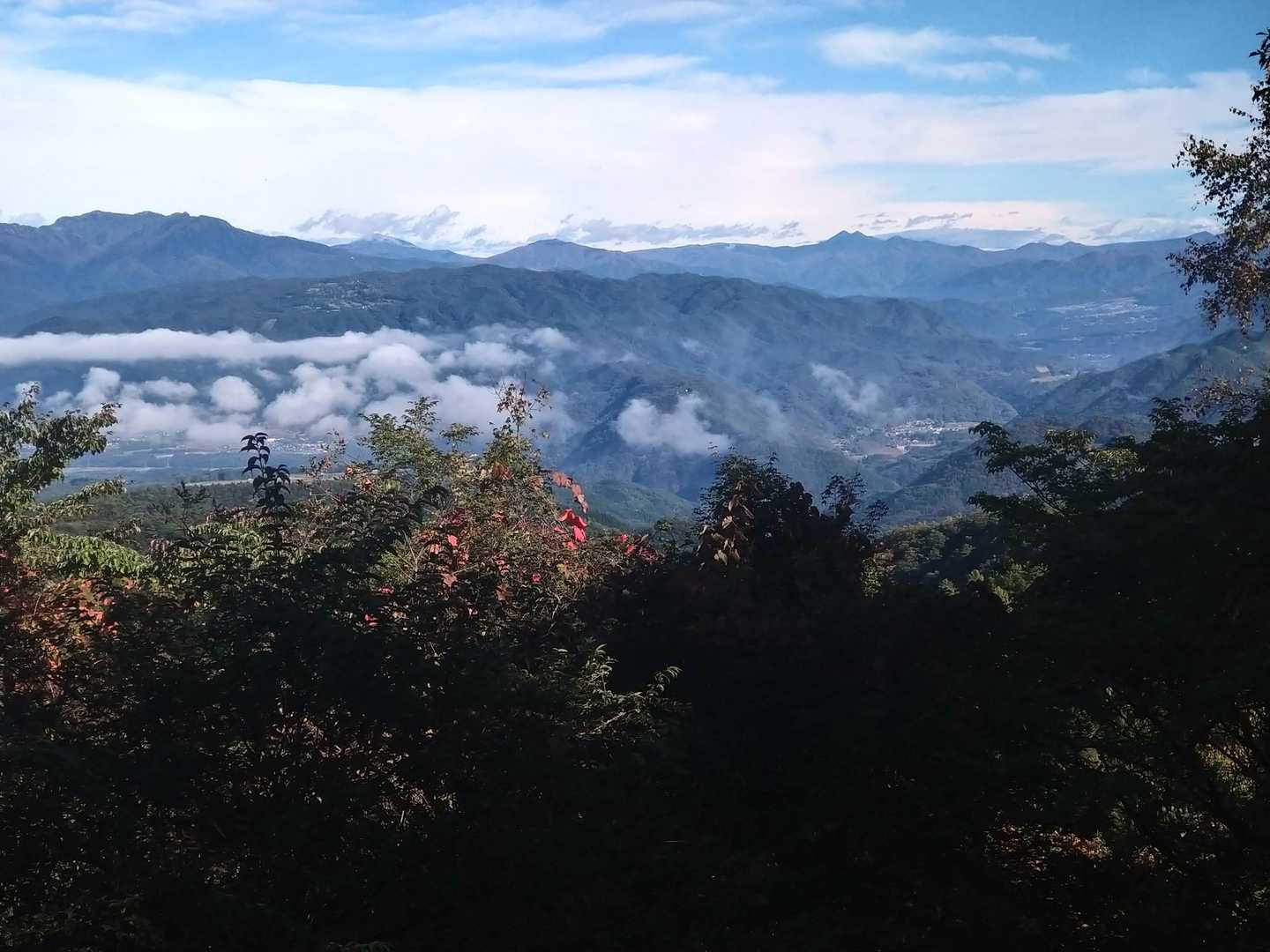 基本的に樹林帯歩きですが、時々開けた場所があり眺めてます(#^.^#)