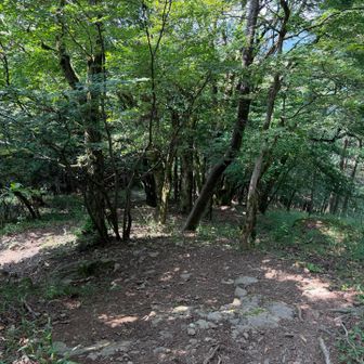 小持山方面の下り