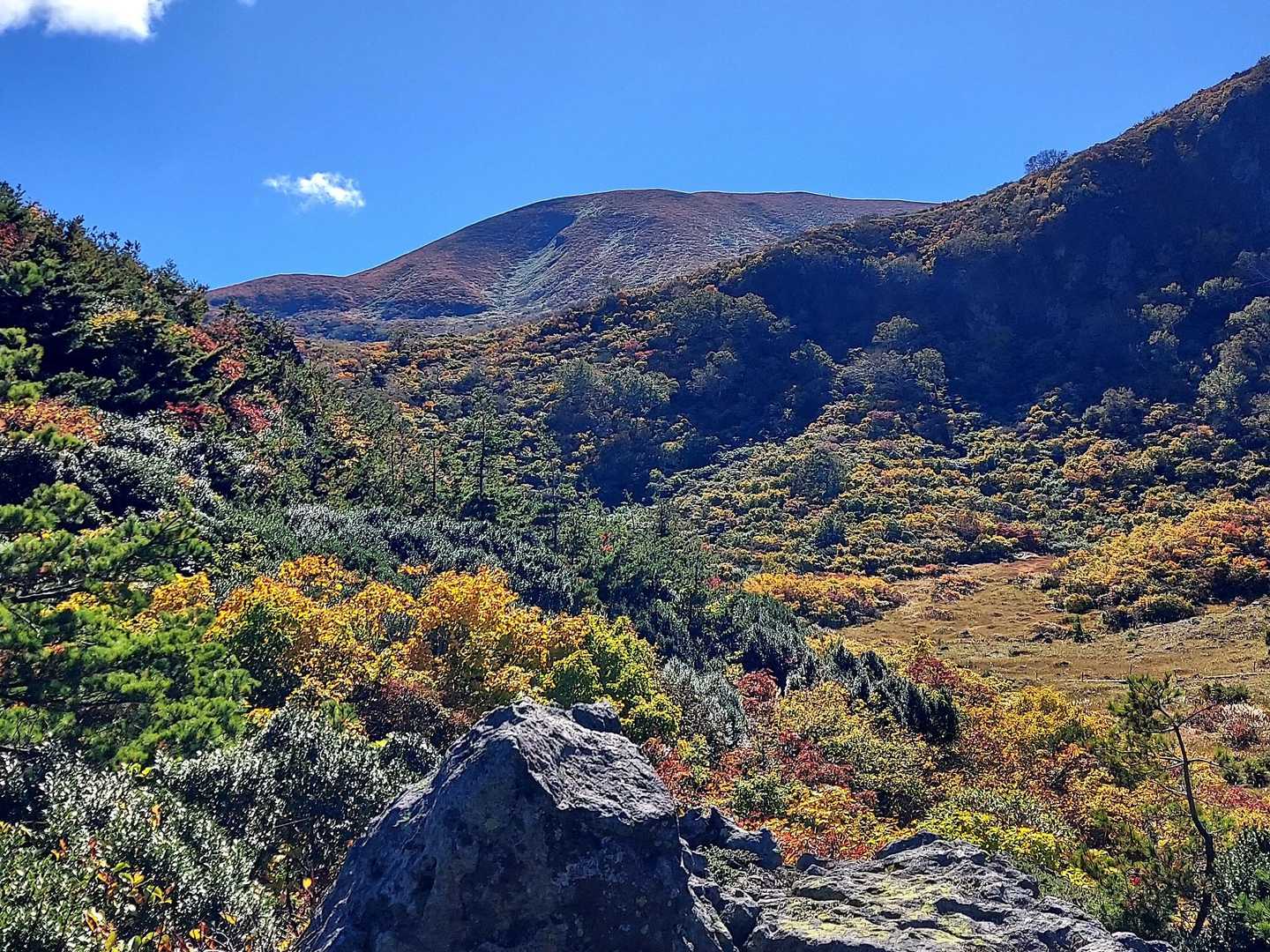 👋山頂