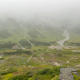 雷鳥小屋方面を望む