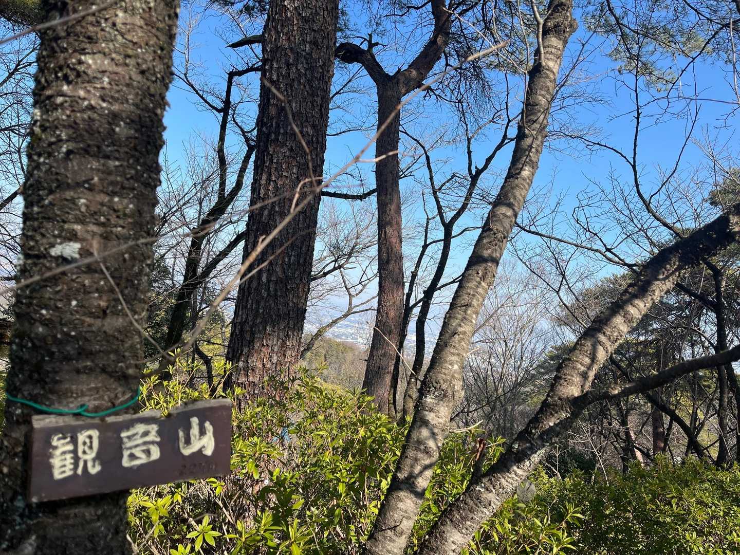 慈眼院-観音山 往復コースの写真