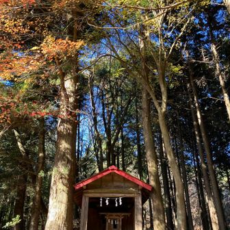 ありがとうございました🙏