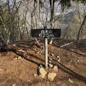 白木山登頂⛰️二座目