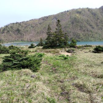 五色沼到着。
池じゃなかったw