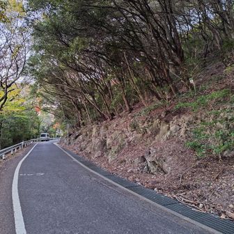 登山口ですが、看板も何も無く ぱっと見た目では気付けません