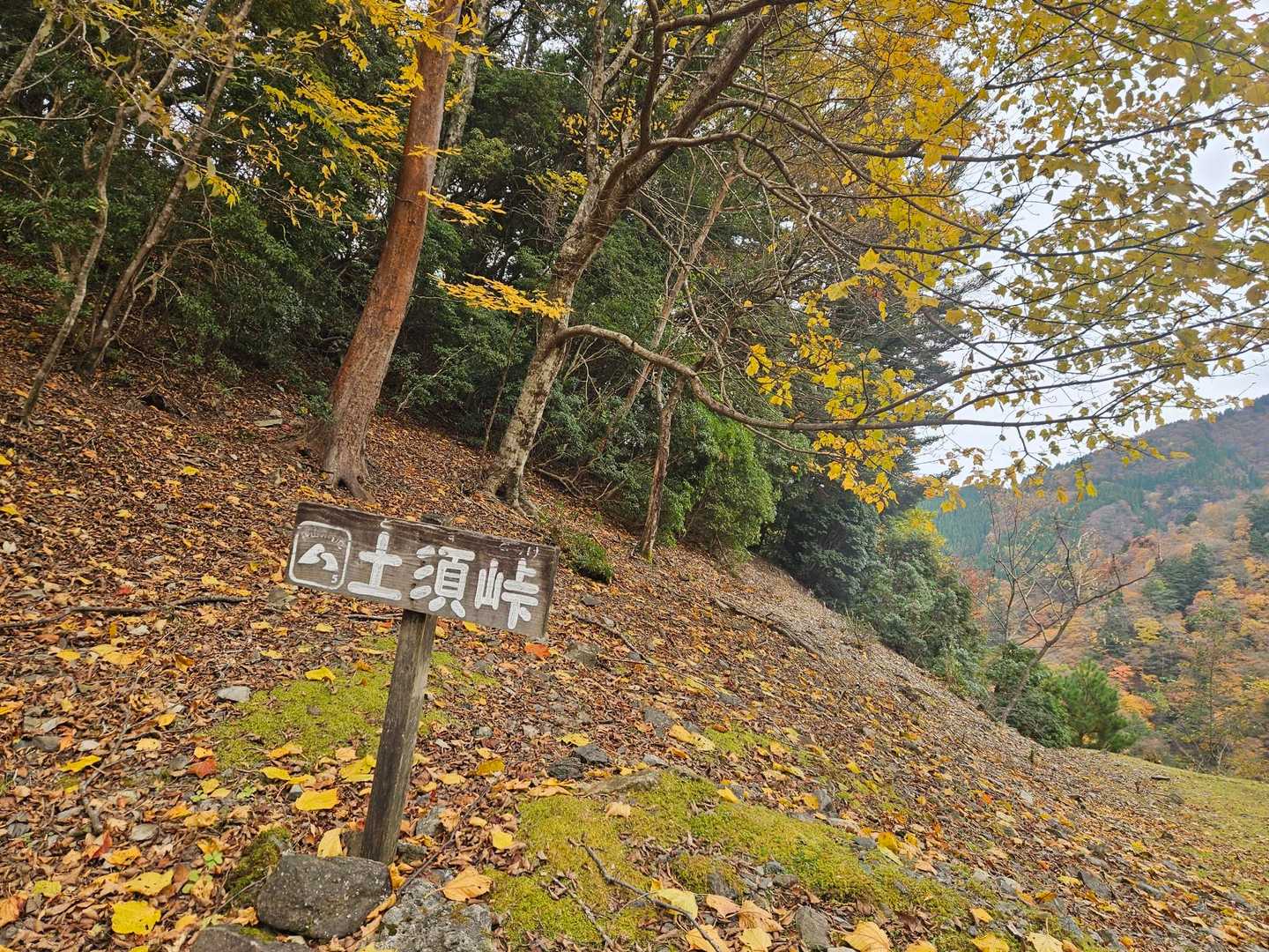 雲早山 周回コースの写真