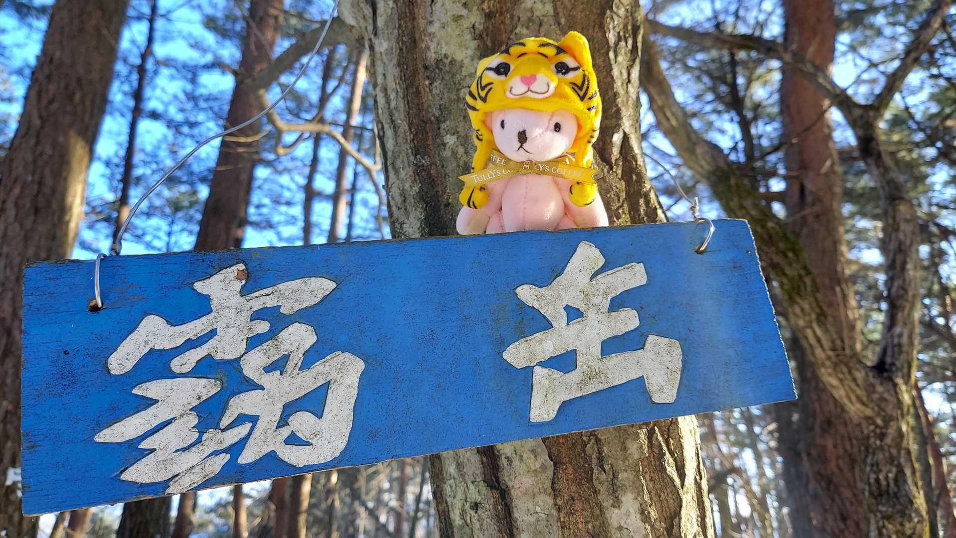到着⛰️