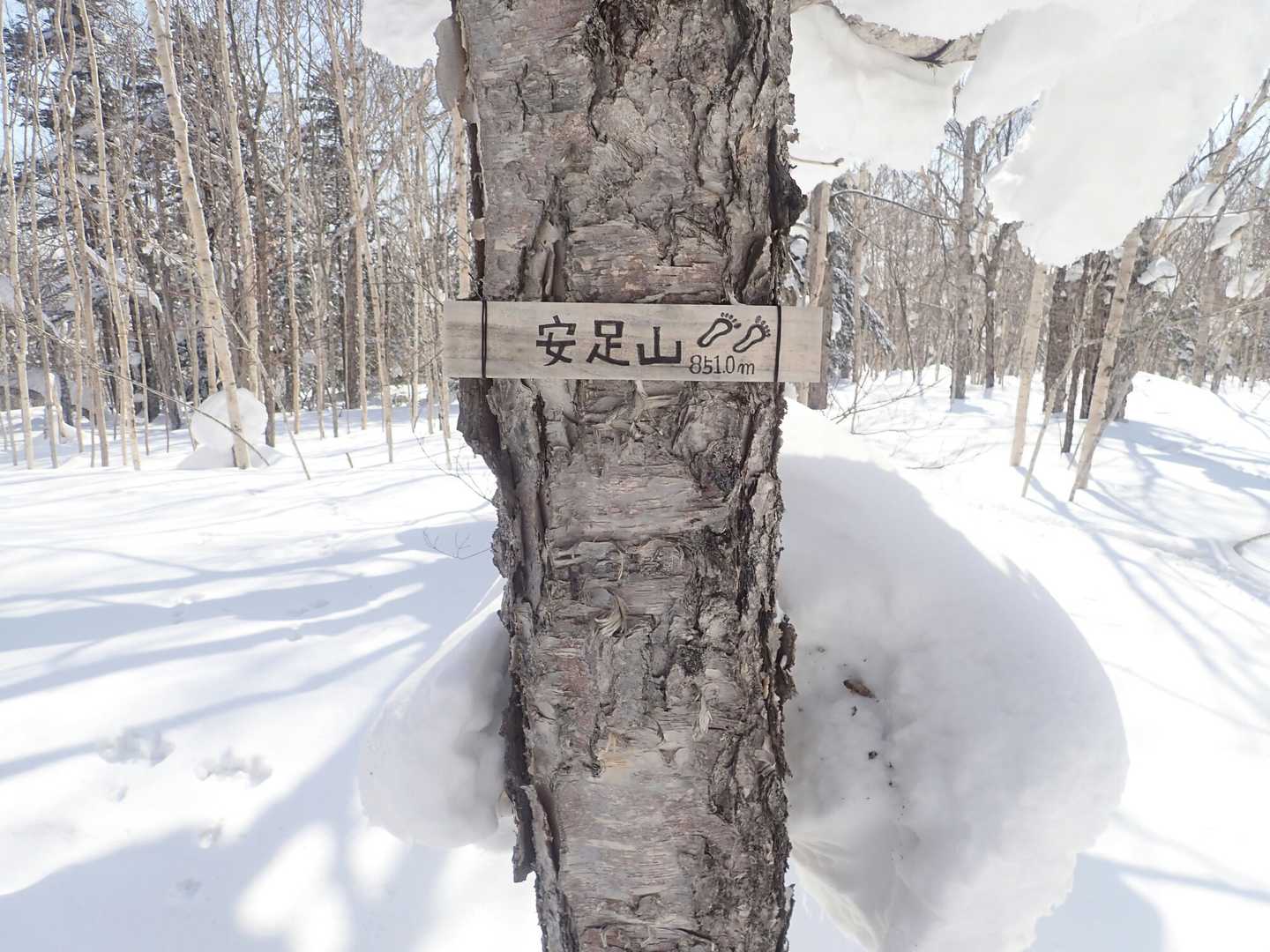 結構探しました🤣