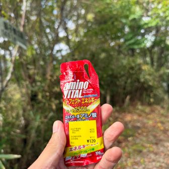 獅子舞の鼻への登りに体力奪われてドーピングに手を出す
アルペンで買ったセール品😅