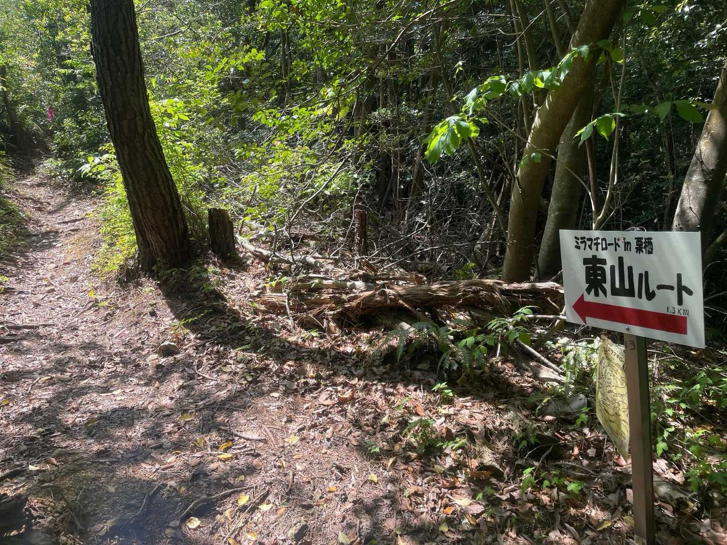 帰りは東山ルートへ