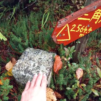 小屋から徒歩10分の無名三角点。シャクナゲがたくさんいました。花の季節に来られたら楽しそう