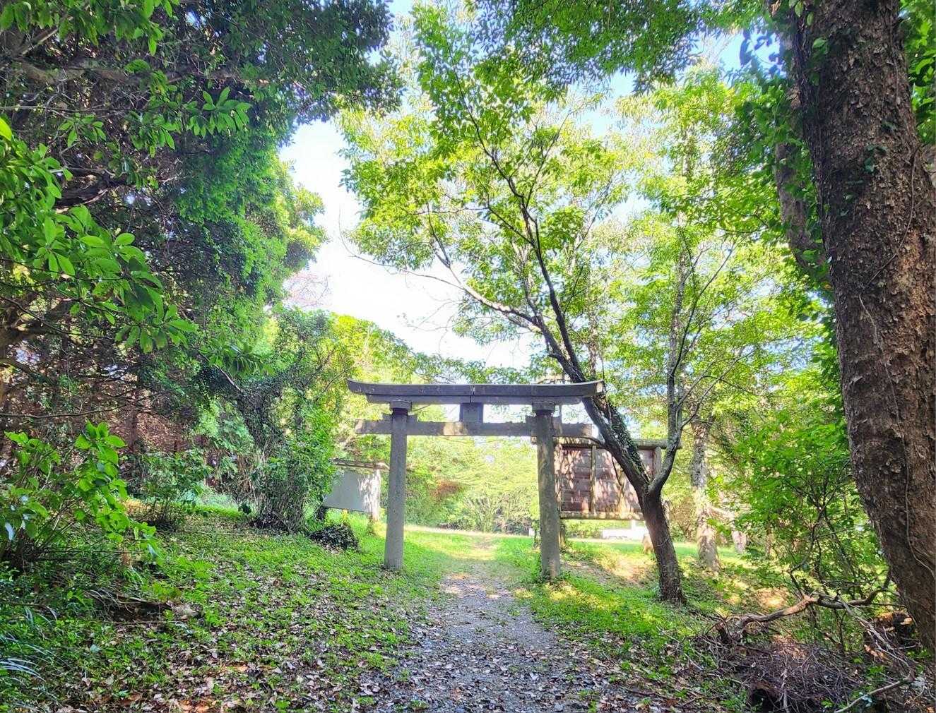 嵩山 往復コースの写真