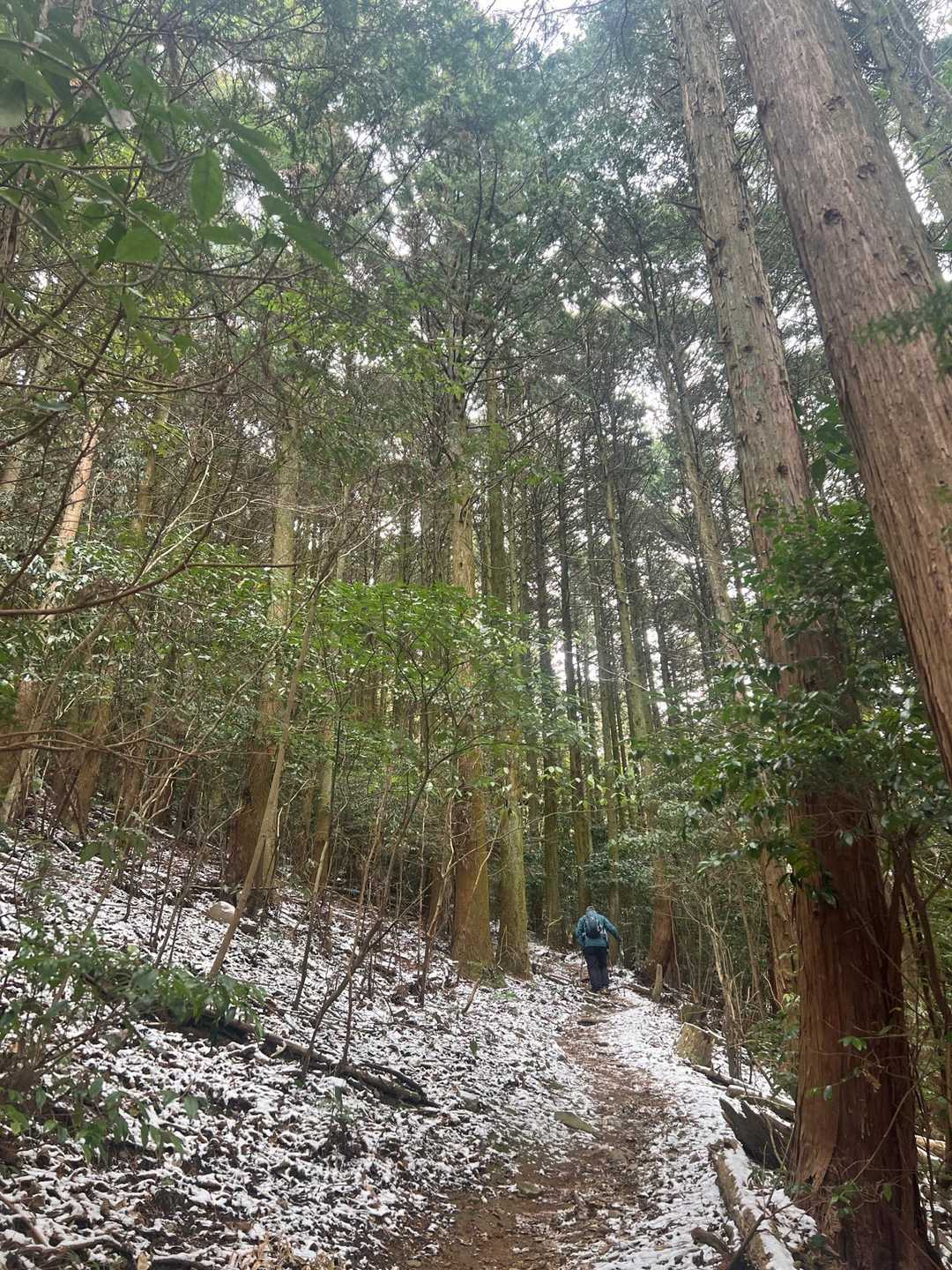 雪景色の中を歩くじなしさんご夫婦。